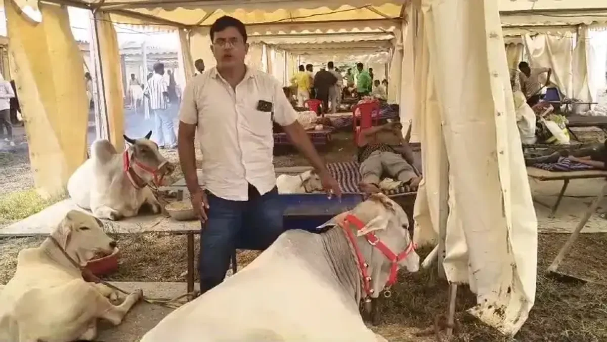 वाराणसी में सजा भव्य पशु मेला, बीएचयू में उमड़े देश भर के पशुपालक