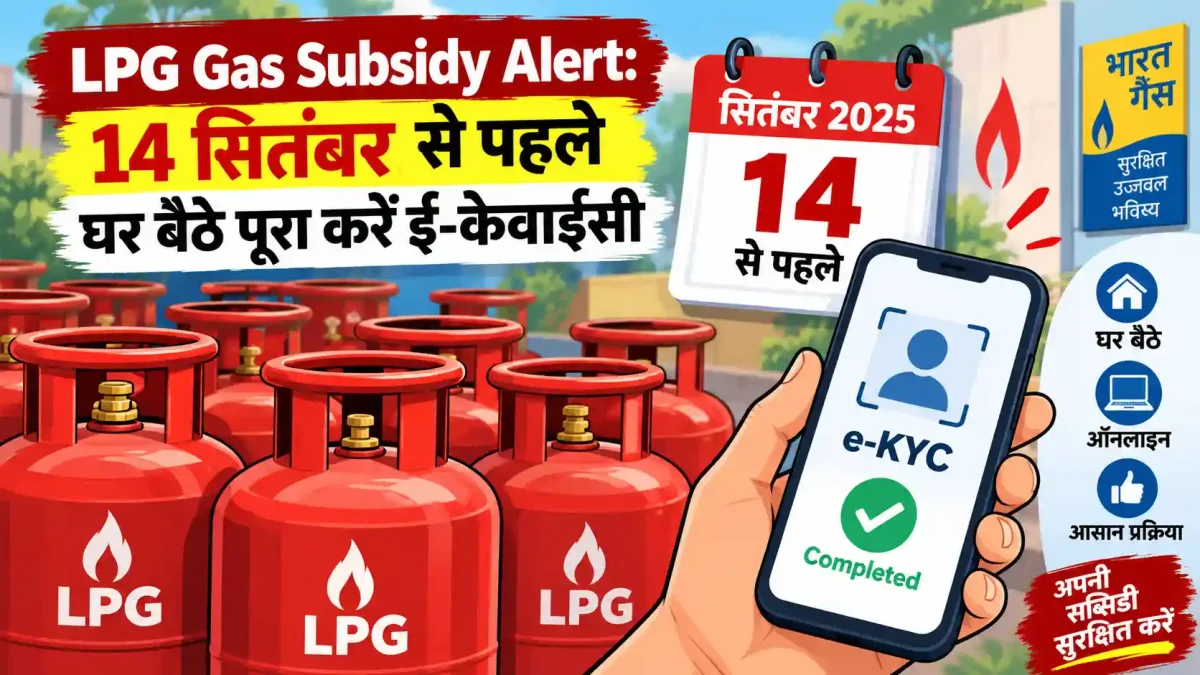 LPG Gas Subsidy Alert: 14 सितंबर से पहले घर बैठे पूरा करें ई-केवाईसी