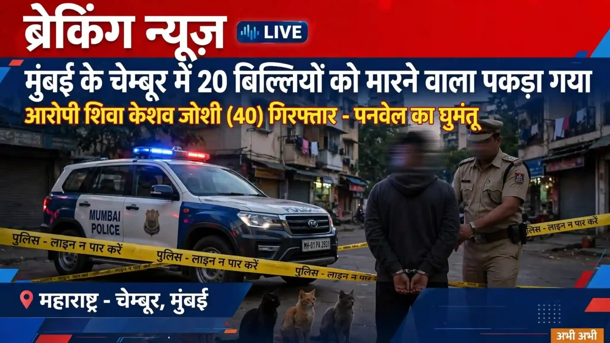 मुंबई में खौफनाक वारदात: 20 बेजुबान बिल्लियों को मौत के घाट उतारने वाला शातिर आरोपी शिकंजे में