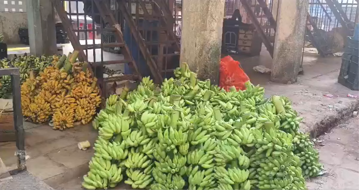 केला खाने से पहले हो जाएं सावधान! नवी मुंबई में हुआ खतरनाक खुलासा