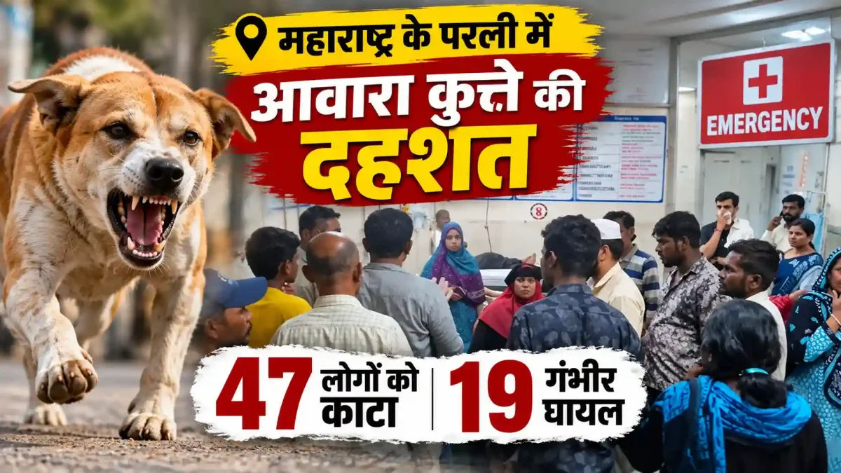 महाराष्ट्र के परली में हाहाकार: एक ही दिन में आवारा कुत्ते ने 47 लोगों को बनाया शिकार