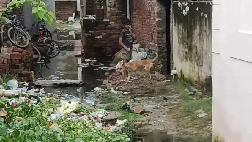 वाराणसी के इस इलाके में जलप्रलय जैसे हालात, घरों में घुसा पानी